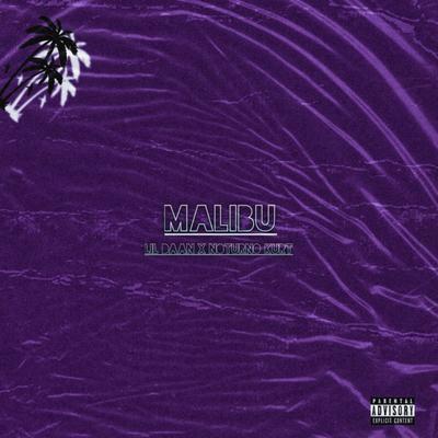 Malibu By Lil Daan's cover