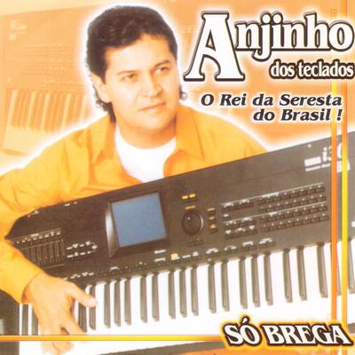 Só Brega (O Rei da Seresta do Brasil)'s cover