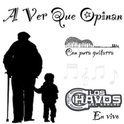 ¨A Ver Que Opinan¨ Pura Guitarra's cover