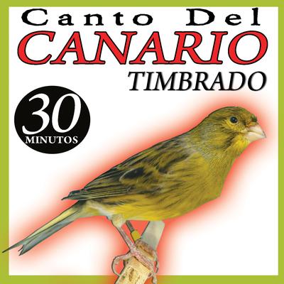 Canto del Canario Timbrado Español (I)'s cover
