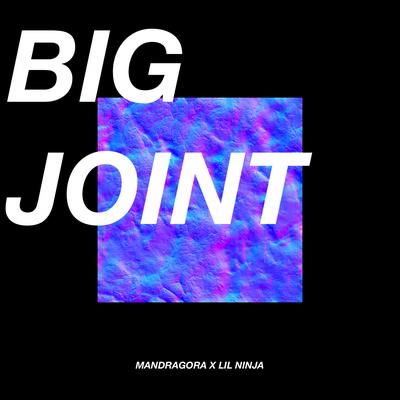 Big Joint (Original Mix) By Mandragora, Lil Ninja's cover