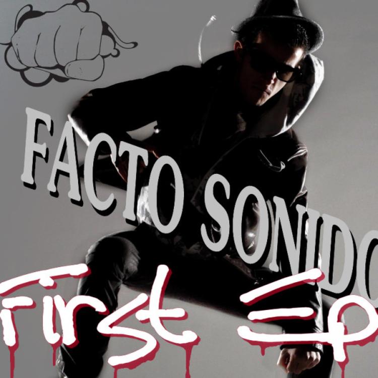 Facto Sonido's avatar image