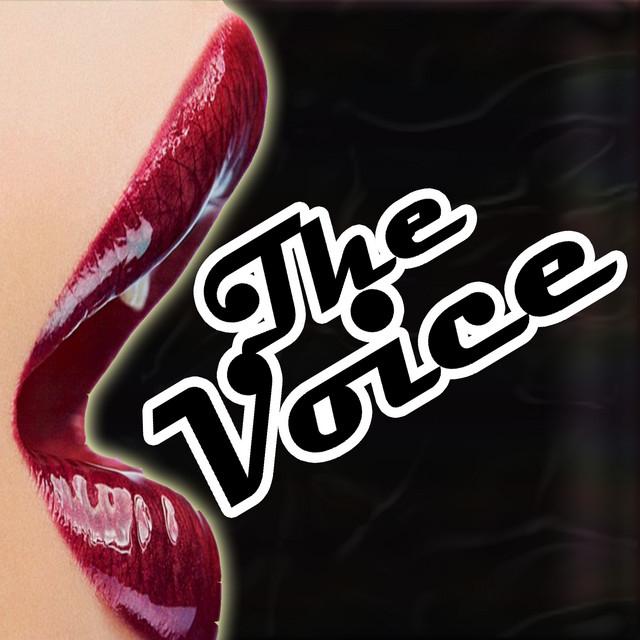 Voice DJ's's avatar image