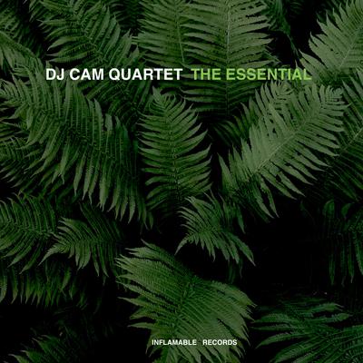 Cantaloop Island By DJ Cam Quartet's cover