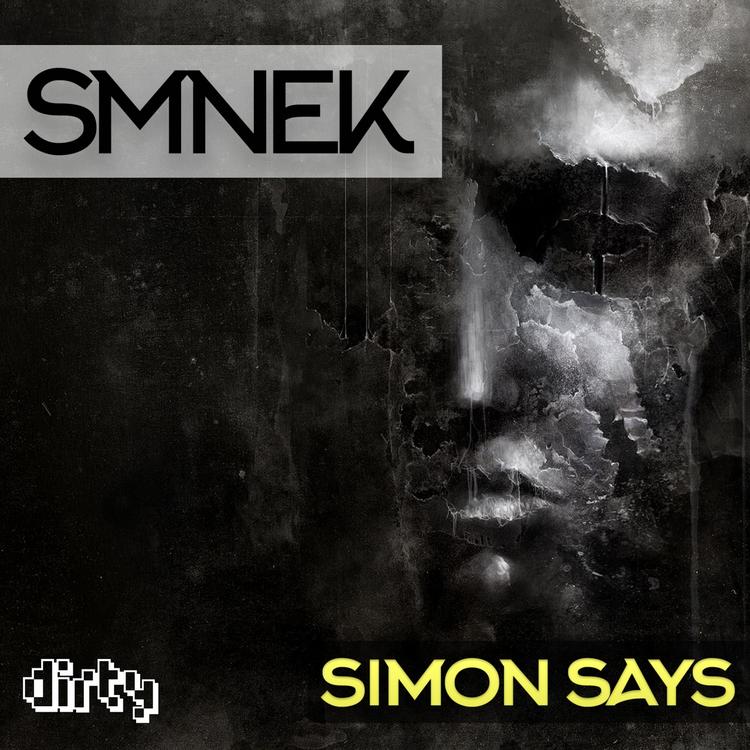 SMNEK's avatar image