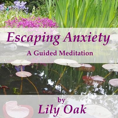 Escaping Anxiety: A Guided Meditation's cover