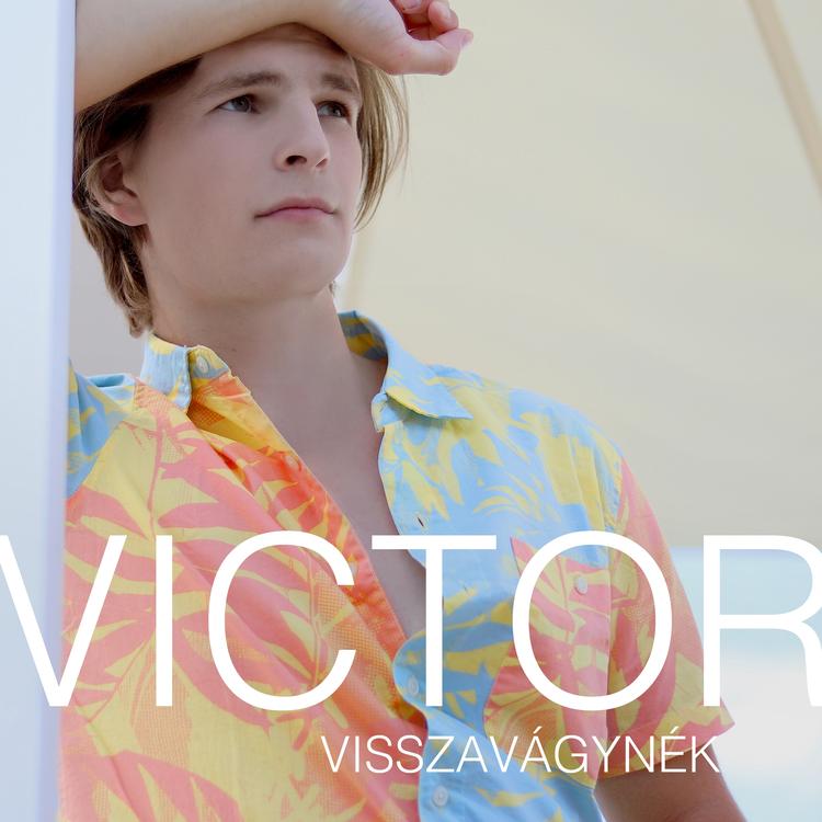 Victor's avatar image
