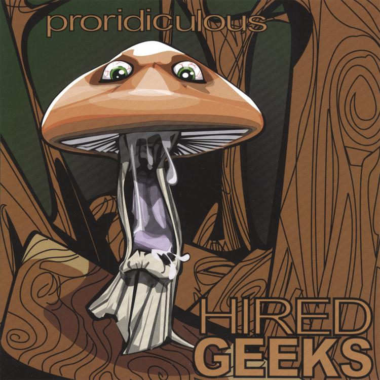 Hired Geeks's avatar image