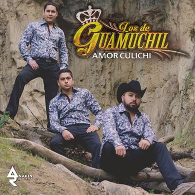 Amor Culichi's cover