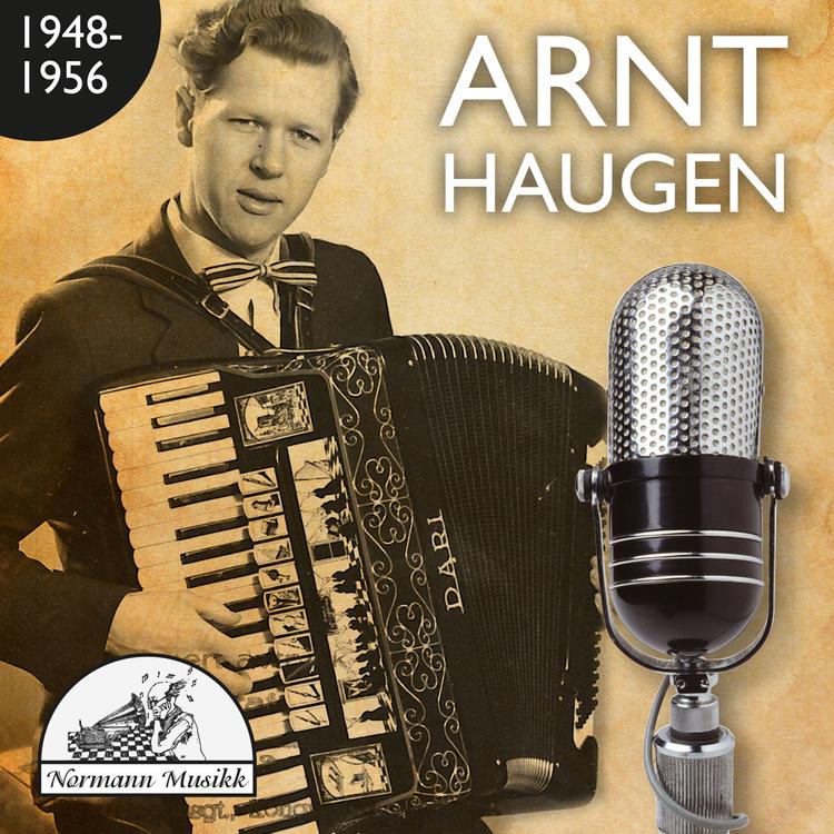 Arnt Haugen's avatar image