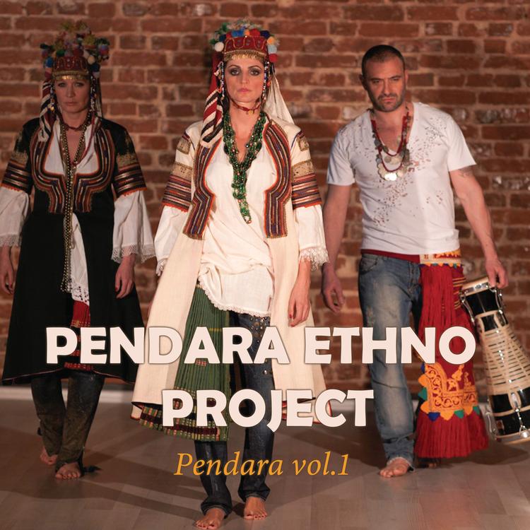 Pendara Ethno Project's avatar image