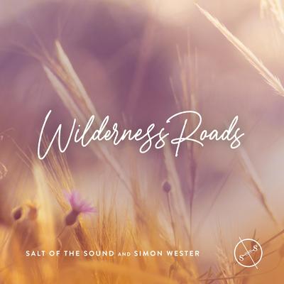 Wilderness Roads By Salt Of The Sound, Simon Wester's cover