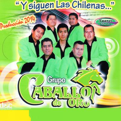 Grupo Caballo De Oro's cover