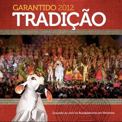 Festa do Povo Vermelho By Boi Bumba Garantido's cover