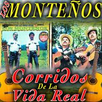 Los Montenos's avatar cover