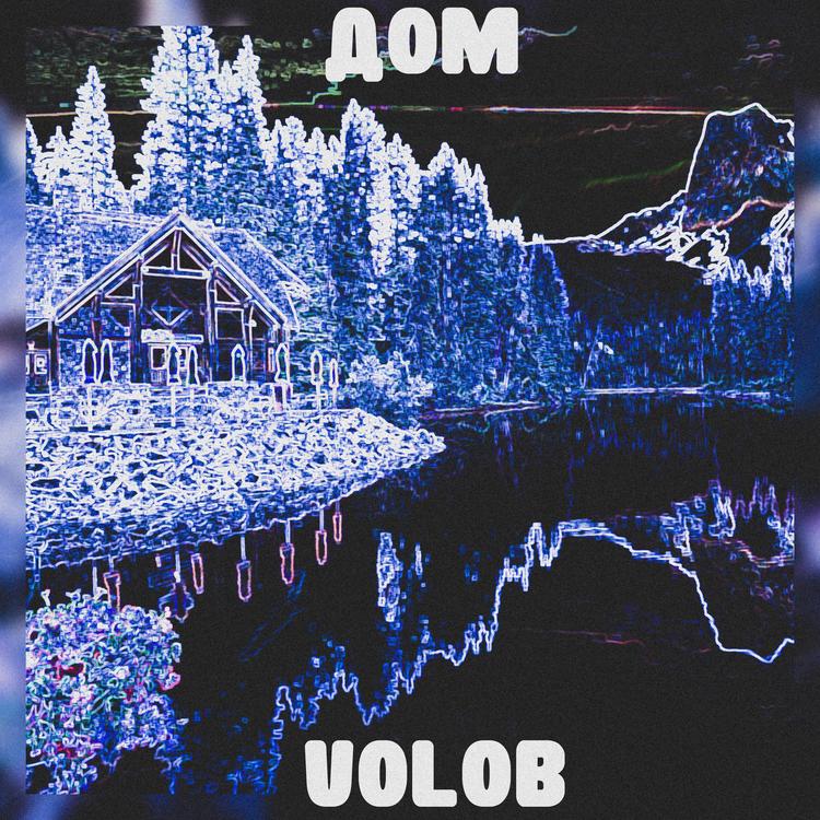 VOLOB's avatar image