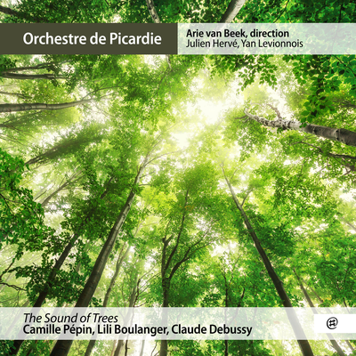 The Sound of Trees: Entétant - Tournoyant, hypnotique By Orchestre de Picardie, Arie van Beek, Julien Herve, Yan Levionnois, Camille Pépin's cover