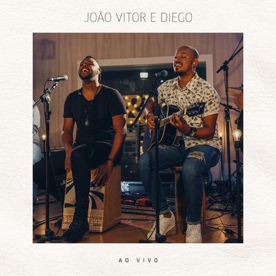 Vou Lutar (Ao Vivo) By João Vitor & Diego's cover