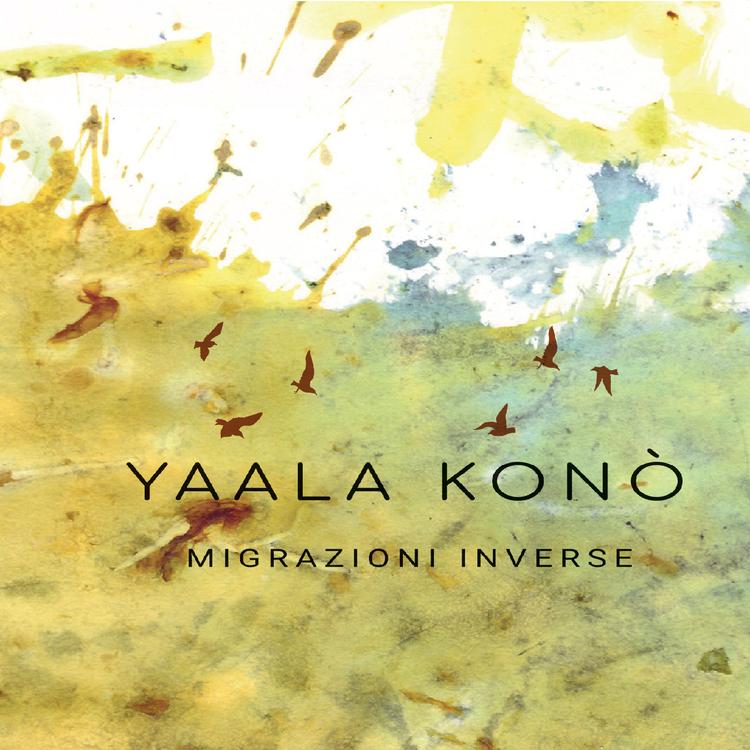 Yaala Konò's avatar image