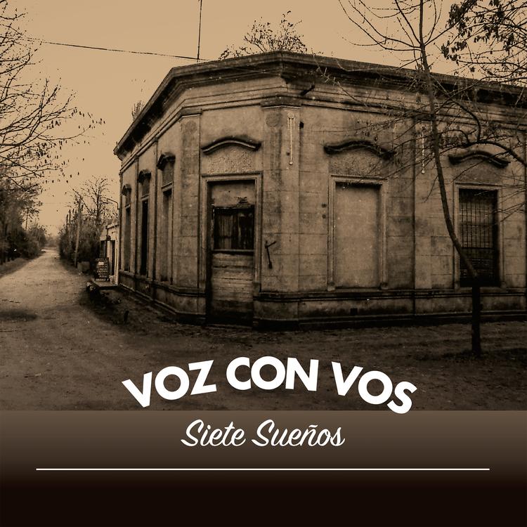 Voz con vos's avatar image