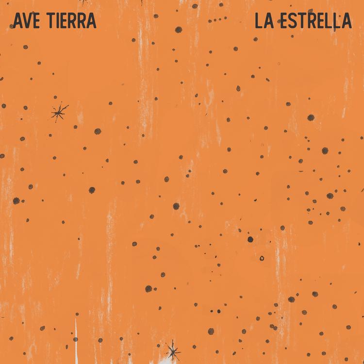 Ave Tierra's avatar image