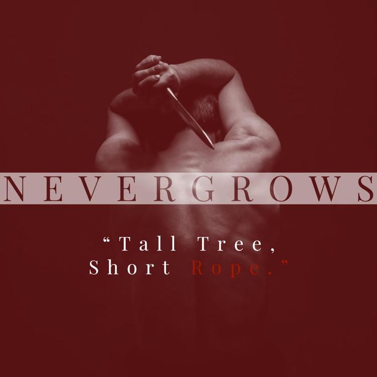 Nevergrows's avatar image