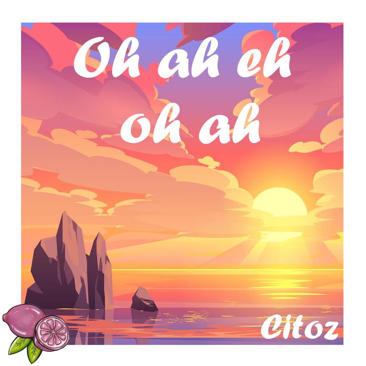 Citoz's avatar image