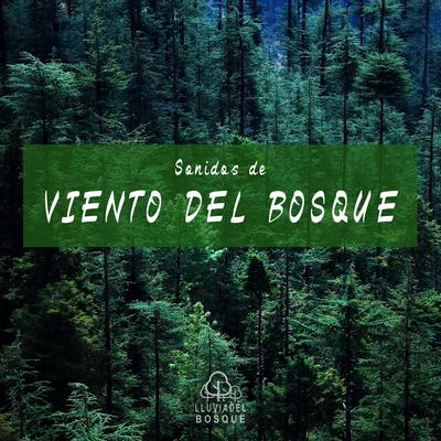 Sonidos de Viento del Bosque, Pt. 01 By Lluvia del Bosque's cover