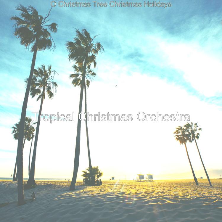 Tropical Christmas Orchestra's avatar image