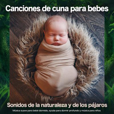 Música para bebés exigente By Canciones de cuna para bebés, Musica Para Dormir Bebes , MÚSICA PARA NIÑOS's cover