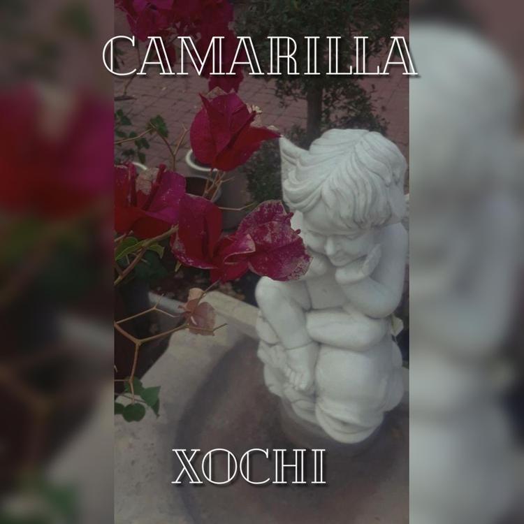 Camarilla's avatar image