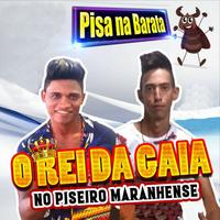 O REI DA GAIA's avatar cover