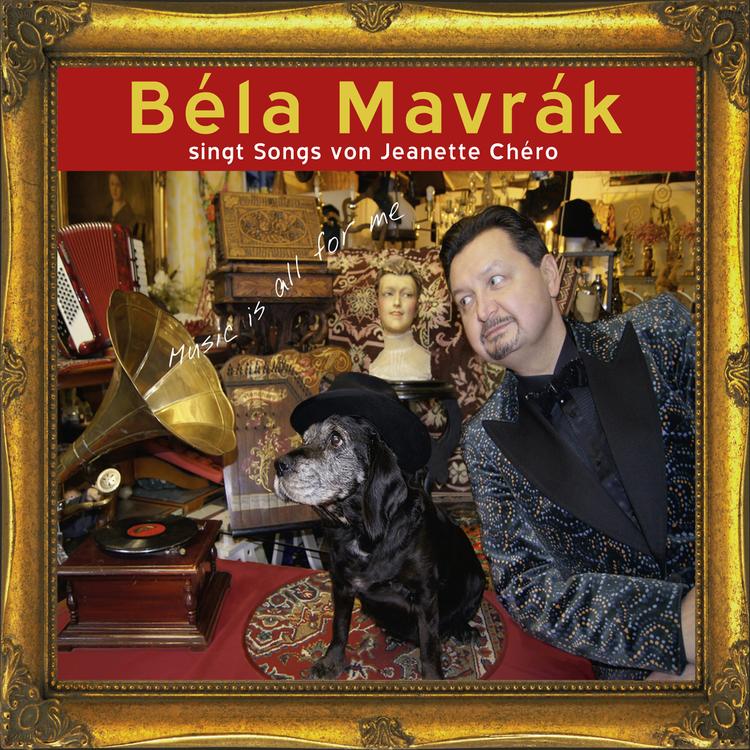 Bela Mavrak's avatar image