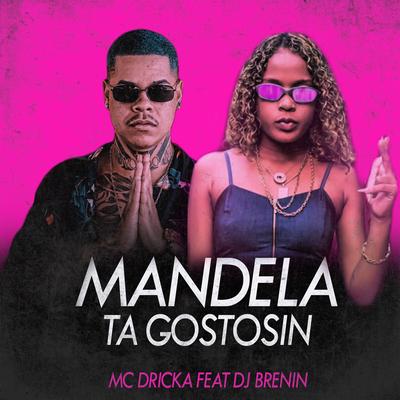 Mandela Ta Gostosin By Mc Dricka, DJ Brenin's cover