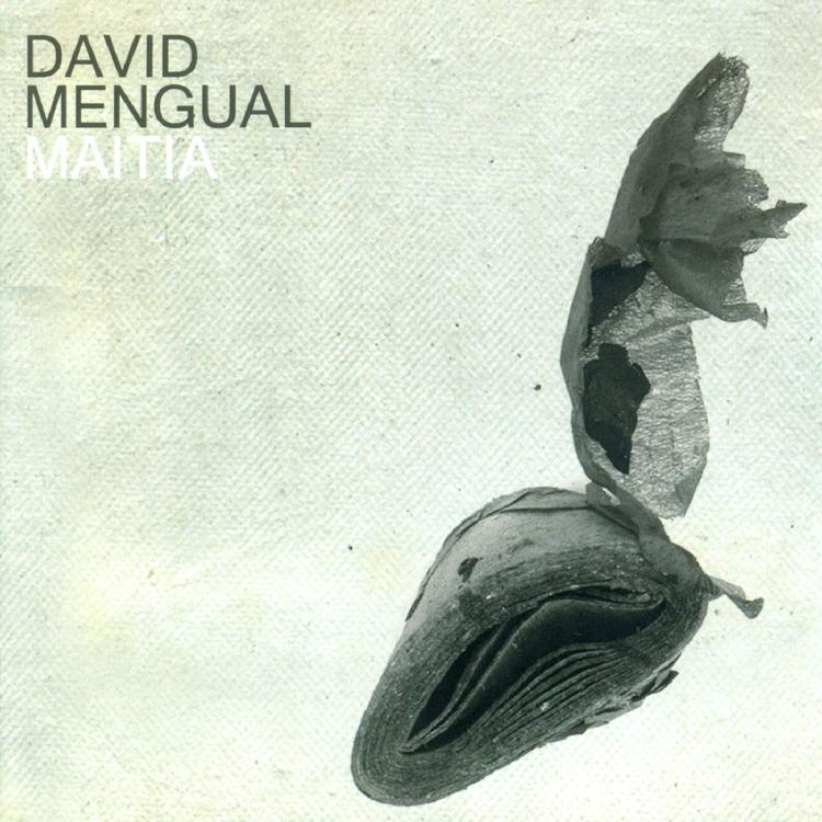 David Mengual's avatar image