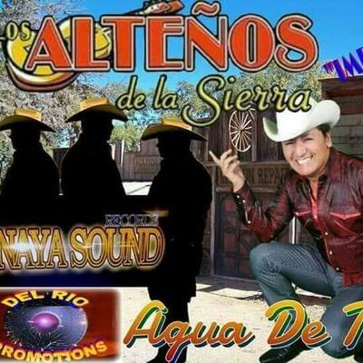 Los Altenos De La Sierra's cover