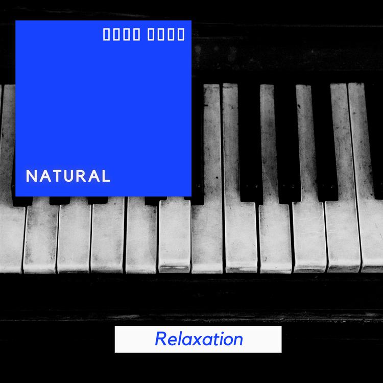 Piano Music for Work's avatar image