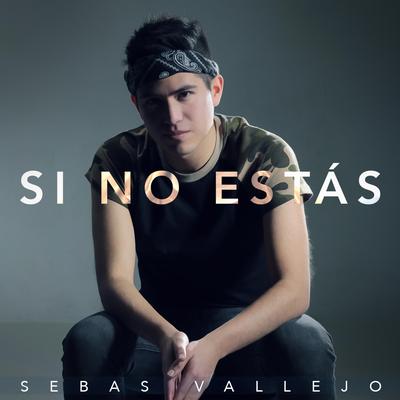 Sebas Vallejo's cover