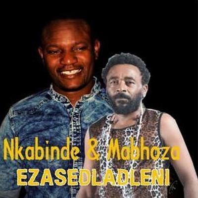 Ezasedladleni's cover