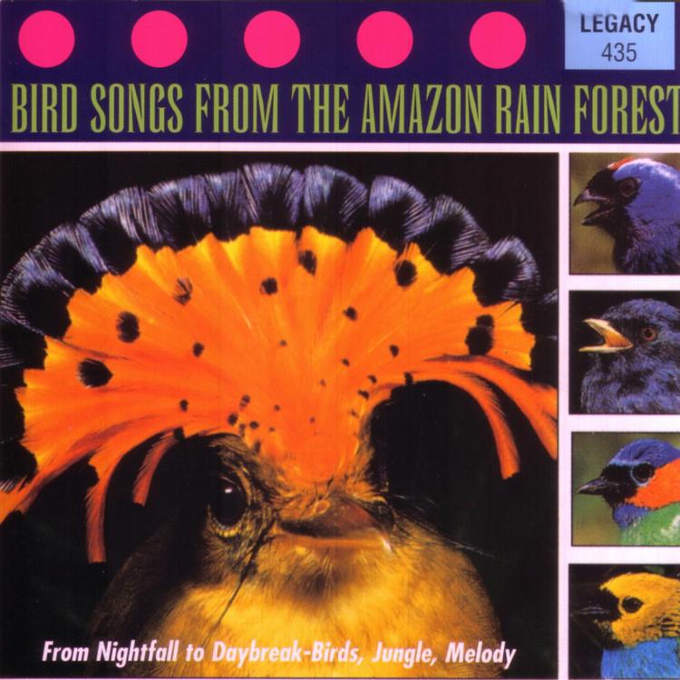 Bird Songs From the Amazon Rain Forest's avatar image