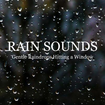 Raindrops Hitting a Window, Pt. 48 By Rain Masters From TraxLab's cover