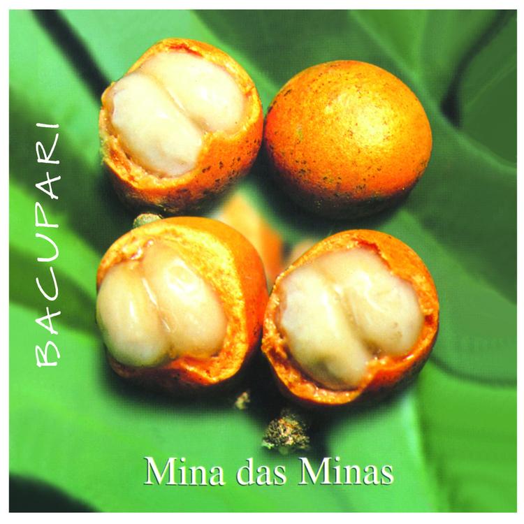 Mina das Minas's avatar image