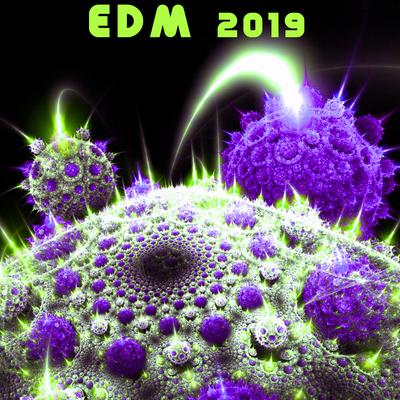 EDM 2019's cover
