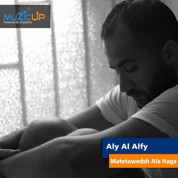 Aly Al Alfy's avatar image