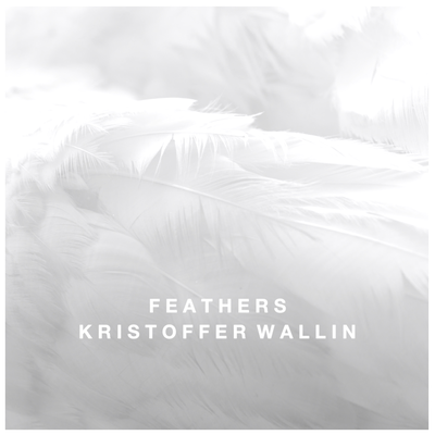 Feathers By Kristoffer Wallin's cover