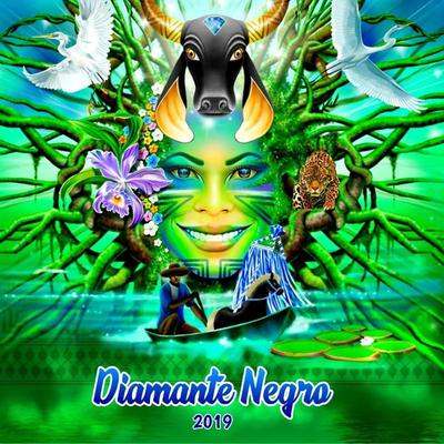 Boi Bumbá Diamante Negro's cover