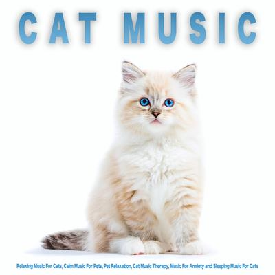 Cat Music By Cat Music Experience, Cat Music, Cat Music Therapy's cover