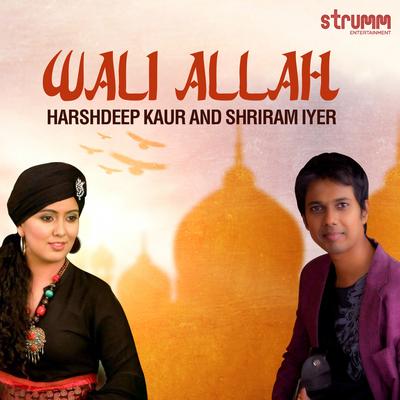 Wali Allah - Single's cover