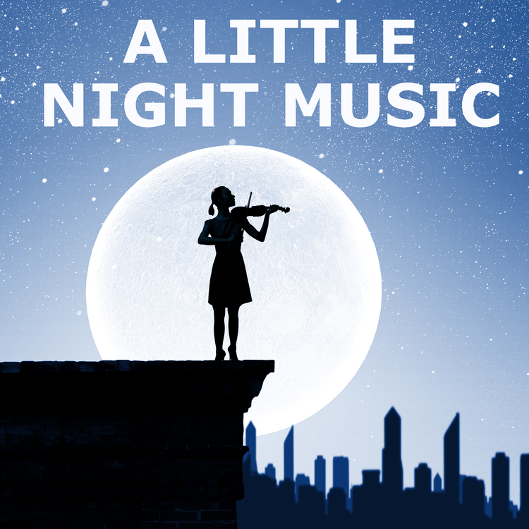 A Little Night Music's avatar image