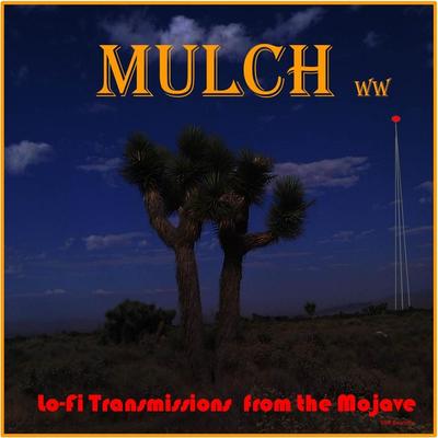 Crazy Sunshine By Mulch's cover